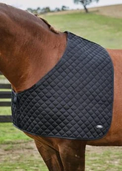 Weatherbeeta Deluxe Shoulder Guard - Black -Horse Rider Shop 589563brdy