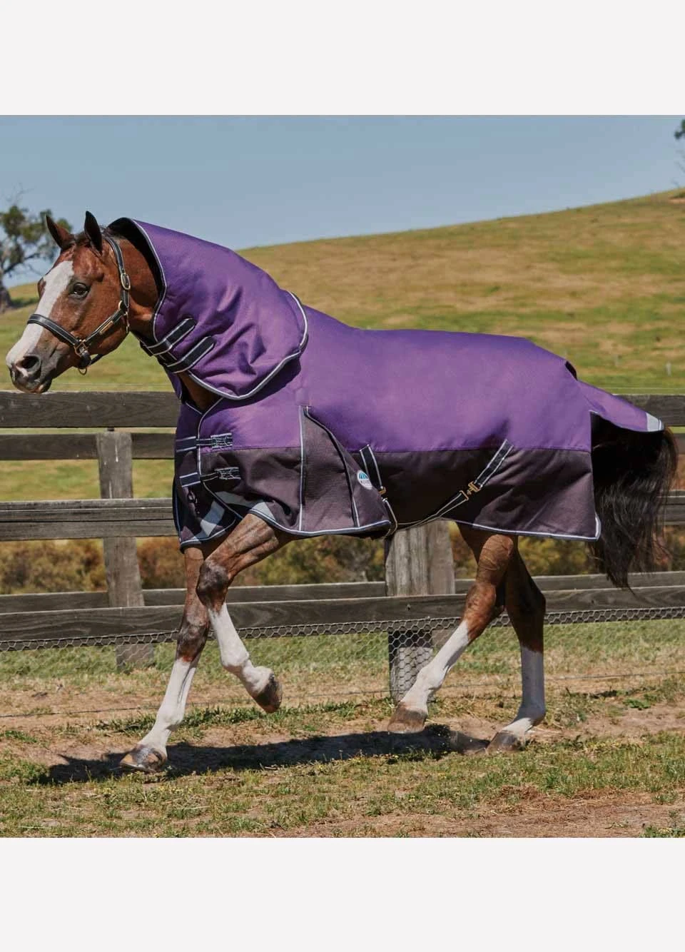 Weatherbeeta ComFiTec Plus Dynamic Detach-A-Neck Med - Purple/Black 1 Weatherbeeta ComFiTec Plus Dynamic Detach-A-Neck Med - Purple/Black