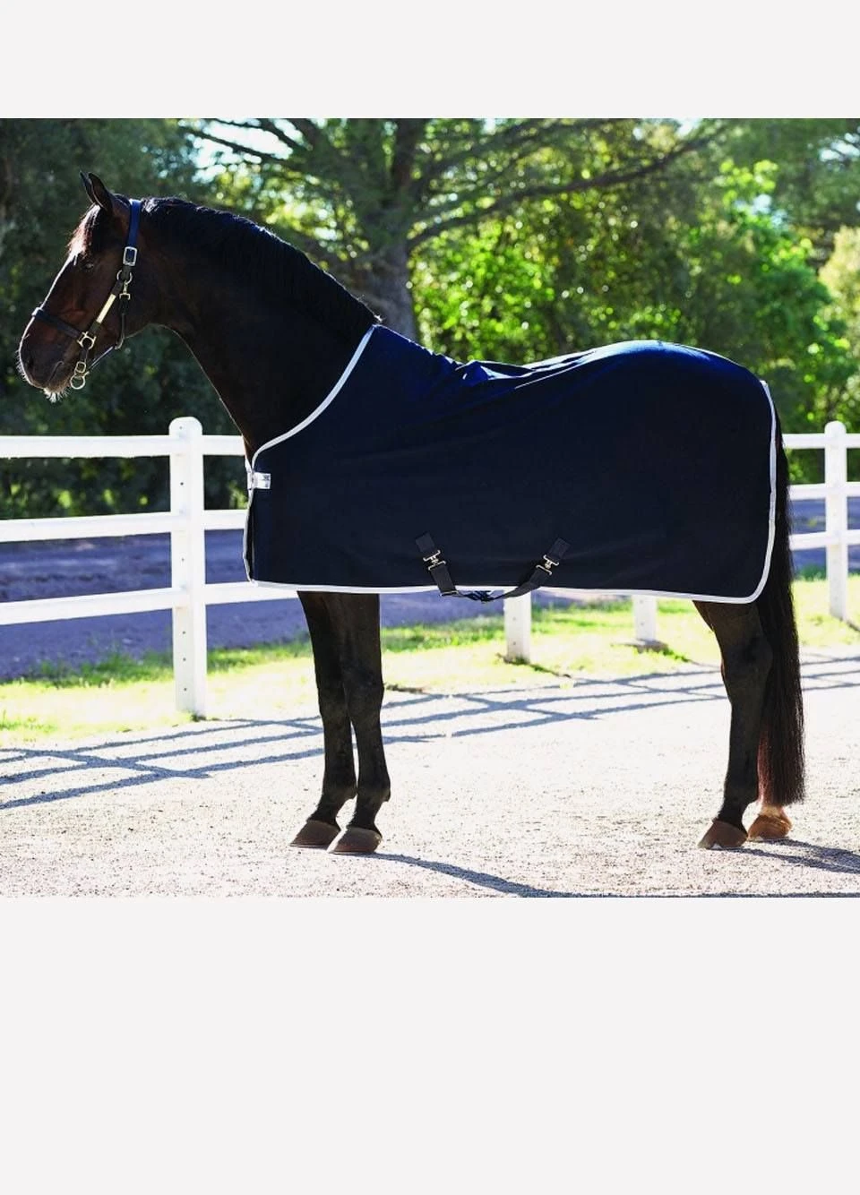 Amigo Jersey Cooler Rug - Navy/Silver 1 Amigo Jersey Cooler Rug - Navy/Silver