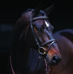 Amigo Bridle - Brown -Horse Rider Shop amigobridlebrown