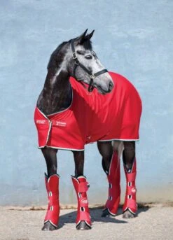 Amigo Jersey Cooler Rug - Red/White/Green