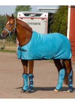 Amigo Ripstop Travel Boots - Delphinium -Horse Rider Shop amigocoolerdelphrdy 1