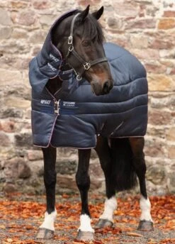 Amigo Insulator All-In-One Heavy - Navy/Plum