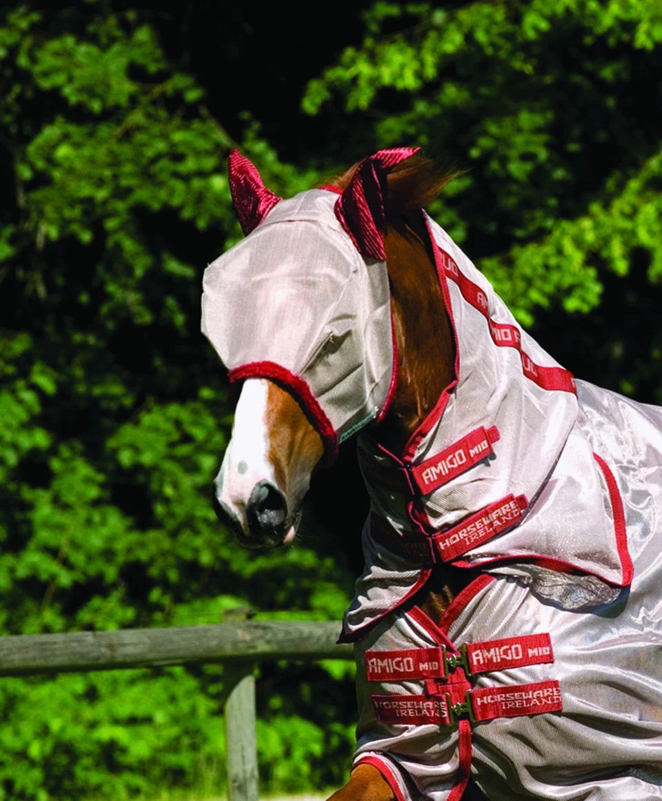 Horse Rider Shop -Horse Rider Shop amigomaskbronze 1