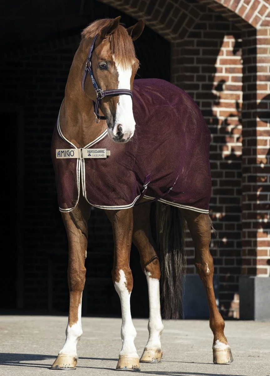 Amigo Net Cooler - Fig 1 Amigo Net Cooler - Fig