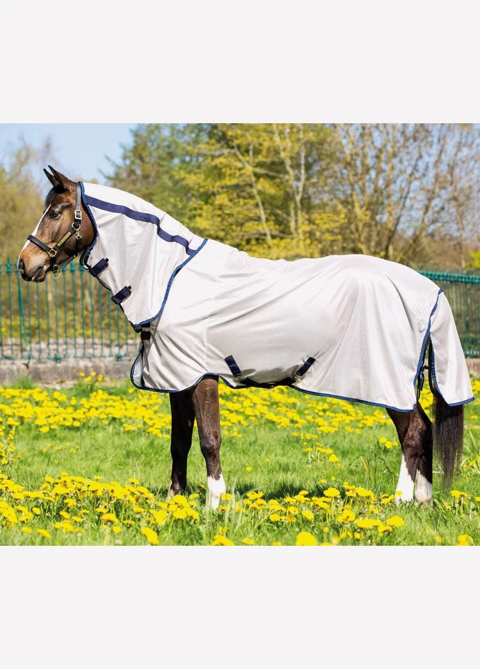 Amigo Mio Pony Fly Rug - Bronze/Navy 1 Amigo Mio Pony Fly Rug - Bronze/Navy