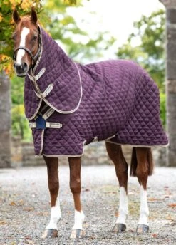 Amigo Stable Plus Medium Disc - Fig