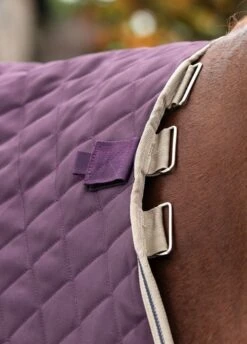 Amigo Stable Plus Medium Disc - Fig -Horse Rider Shop amigostableplusrdy