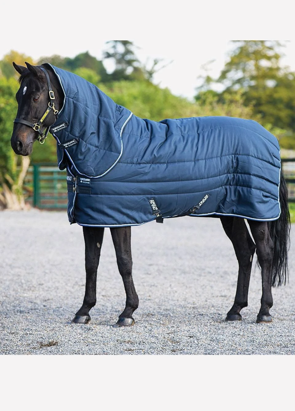 Amigo Stable Vari-Layer Plus Heavy - Navy/Blue & Black 1 Amigo Stable Vari-Layer Plus Heavy - Navy/Blue & Black