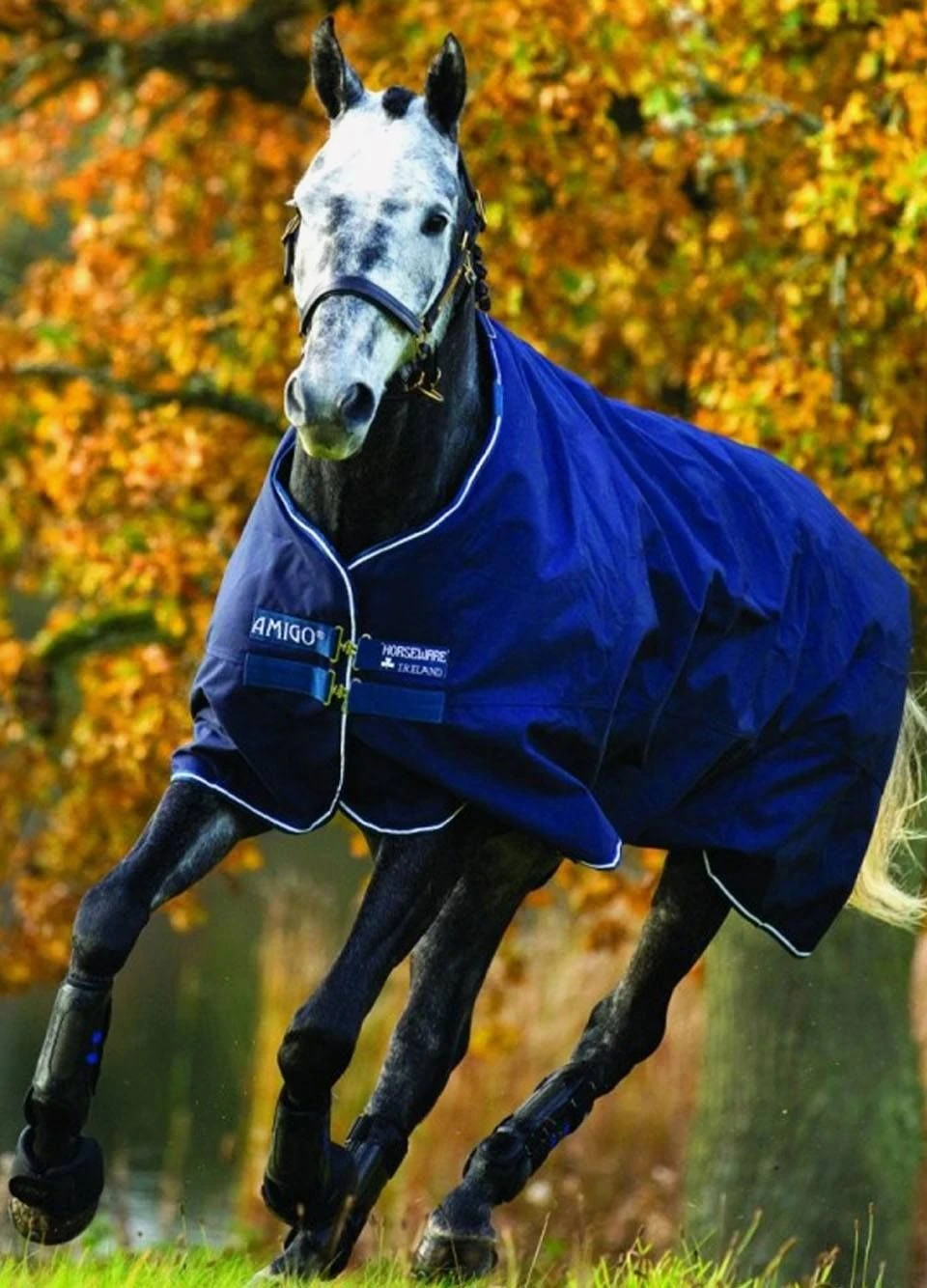 Amigo Bravo 12 Lite Turnout Rug - Navy 1 Amigo Bravo 12 Lite Turnout Rug - Navy