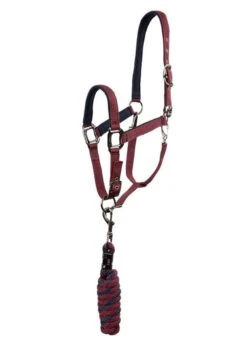 Anky Halter & Lead - Tawny Port
