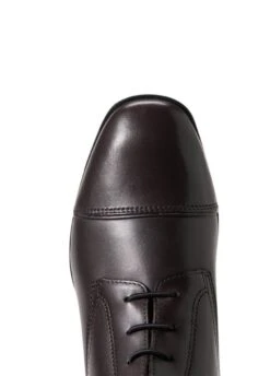 Ariat Womens Palisade Tall Boot - Cocoa -Horse Rider Shop ariat palisade tall boot cocoa 6rdy