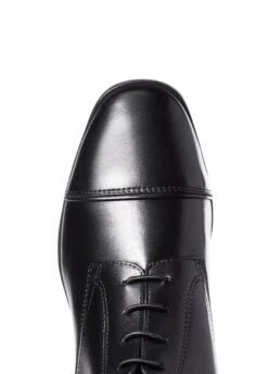 Ariat Womens Palisade Tall Boot - Black -Horse Rider Shop ariatpalisaderdy