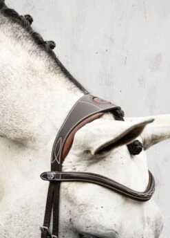 PS Of Sweden Athens Bridle - Brown -Horse Rider Shop athensbrn2rdy