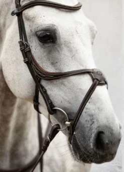 PS Of Sweden Athens Bridle - Brown -Horse Rider Shop athensbrn5rdy