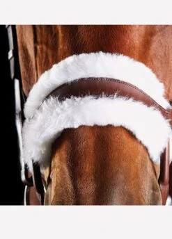 Collegiate ComFiTec Sheepskin Bridle - Brown -Horse Rider Shop brownsheep3