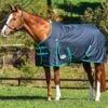 Weatherbeeta ComFiTec Classic Standard Neck Medium Turnout - Black/Green