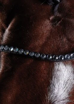 Collegiate Comfitec Crystal Training Bridle - Brown -Horse Rider Shop collcrystal