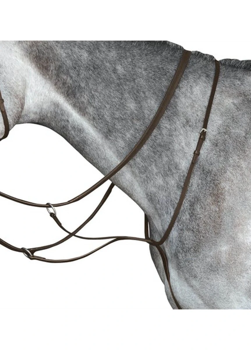 Collegiate Running Martingale IV - Brown 1 Collegiate Running Martingale IV - Brown