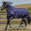 Weatherbeeta ComFiTec Essential Combo Lite Plus Turnout Rug - Navy/Silver/Red