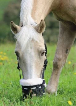 Shires Deluxe Comfort Grazing Muzzle - Black