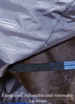 Weatherbeeta ComFiTec Plus Dynamic Combo Medium Turnout - Purple/Black -Horse Rider Shop elasticated removable and adjustablelegstraps 2