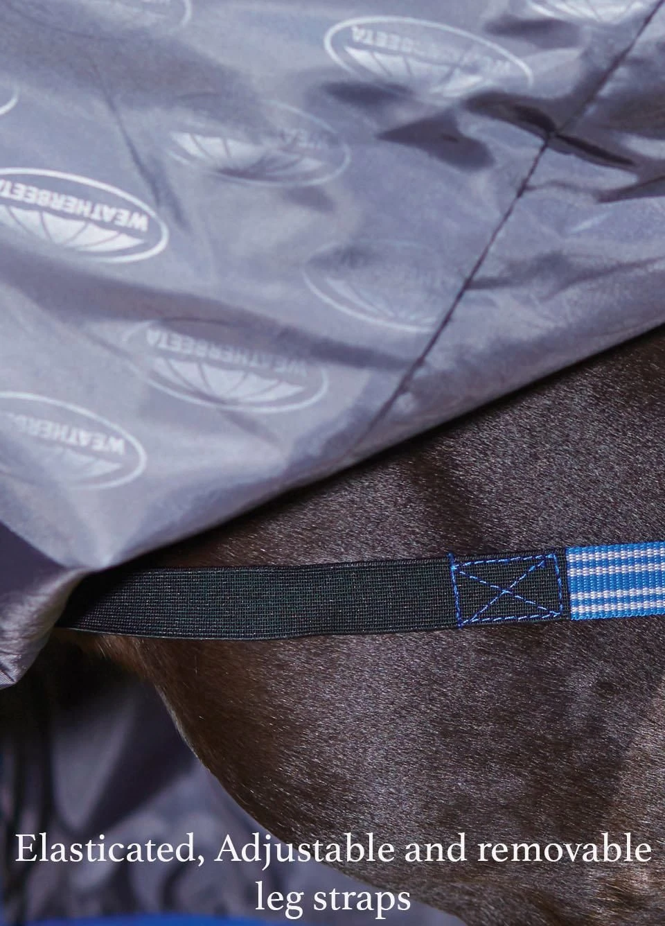 Weatherbeeta ComFiTec Plus Dynamic Combo Medium/Lite Turnout - Teal/Cer/Yell 2 Weatherbeeta ComFiTec Plus Dynamic Combo Medium/Lite Turnout - Teal/Cer/Yell - Image 2