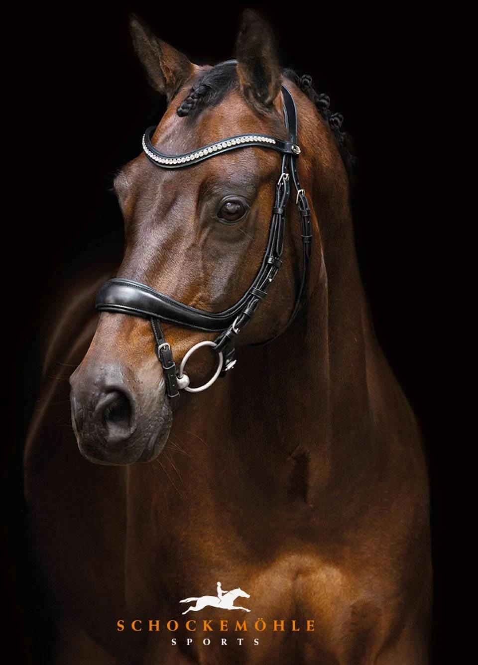 Schockemohle Equitus Beta Bridle - Black 2 Schockemohle Equitus Beta Bridle - Black - Image 2