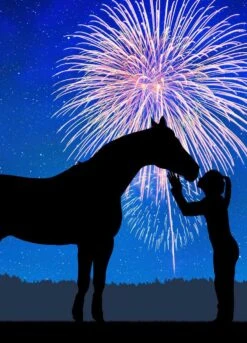 Animalife Vetrocalm Healthy - 900g -Horse Rider Shop fireworksrdy 1