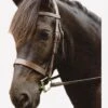 Sabre Eton Snaffle Bridle - Havana