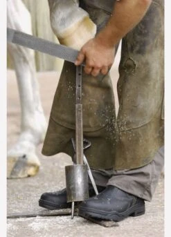 Mountain Horse Protective Jodphur Boots - Dark Brown