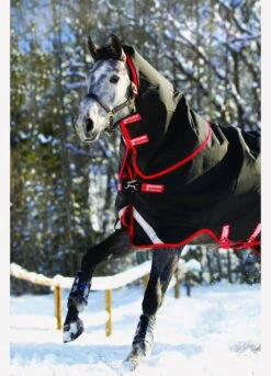 Rambo Supreme Vari-Layer Heavy Turnout Rug 450g - Black/Red -Horse Rider Shop fm 2014 01 15 04 31 36 6245
