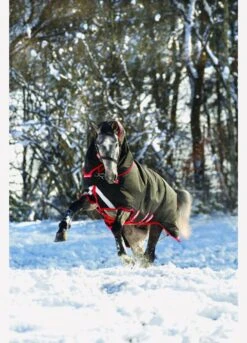 Rambo Supreme Vari-Layer Heavy Turnout Rug 450g - Black/Red -Horse Rider Shop fm 2014 01 15 04 32 32 78792