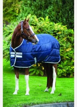 Amigo Medium Insulator Rug - Navy -Horse Rider Shop fm 2014 07 27 02 43 48 41254