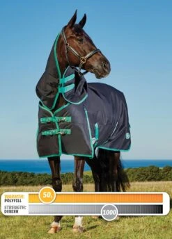 Weatherbeeta Green-Tec 900D Detach-A-Neck Lite Plus Turnout - Black/Bottle Green