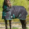 Weatherbeeta Green-Tec 900D Detach-A-Neck Medium Turnout - Black/Bottle Green