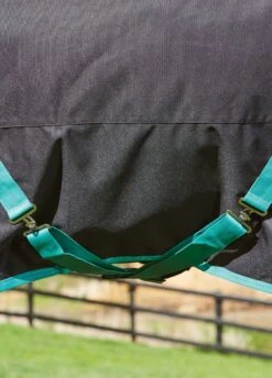 Weatherbeeta Green-Tec 900D Detach-A-Neck Medium Turnout - Black/Bottle Green -Horse Rider Shop greentechfeatures1rdy 1