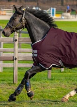 Amigo Hero Ripstop 50g - Fig -Horse Rider Shop hero50fig2rdy