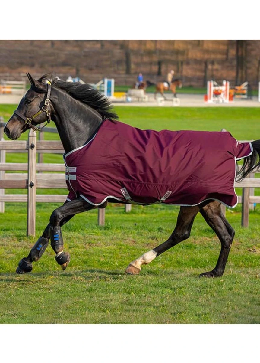 Amigo Hero Ripstop Lite - Fig/Navy 1 Amigo Hero Ripstop Lite - Fig/Navy