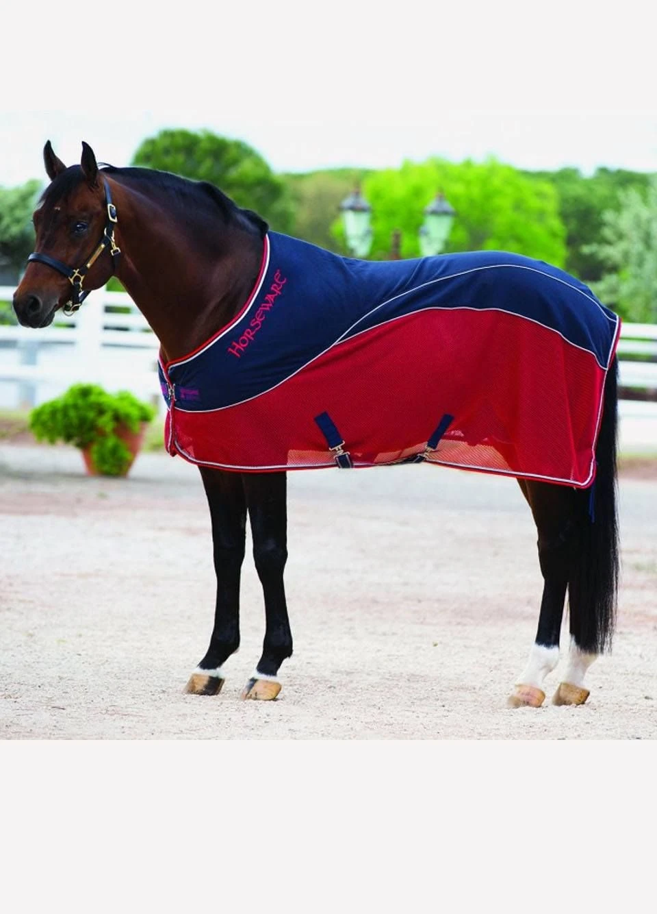 Rambo Sport Cooler - Navy/Red/Grey 1 Rambo Sport Cooler - Navy/Red/Grey