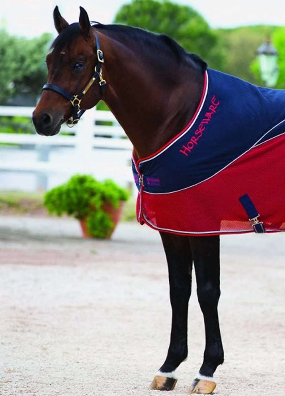 Rambo Sport Cooler - Navy/Red/Grey 2 Rambo Sport Cooler - Navy/Red/Grey - Image 2