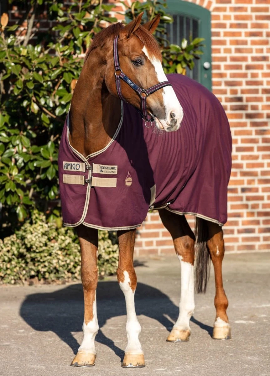 Amigo Stable Sheet - Fig 1 Amigo Stable Sheet - Fig