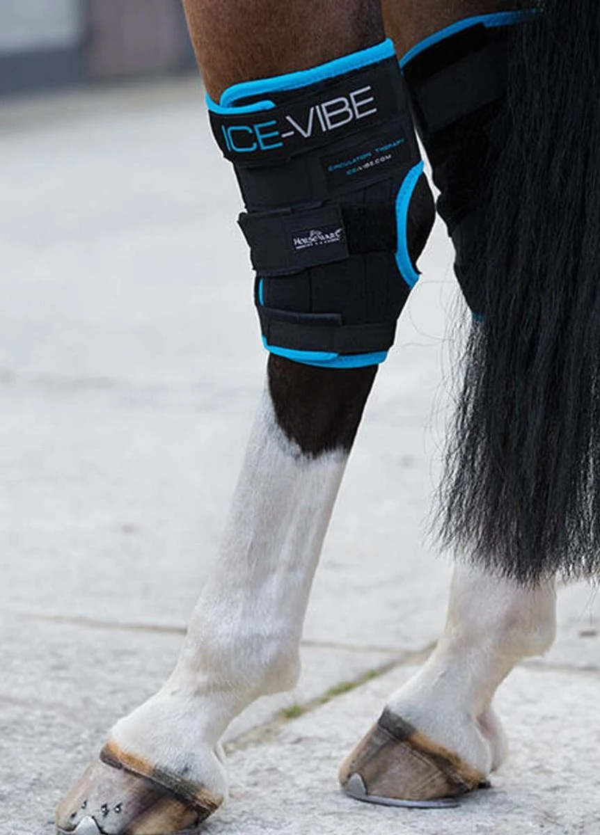 Ice-Vibe Hock Boots - Black 1 Ice-Vibe Hock Boots - Black