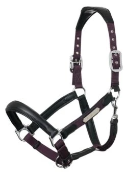 Horse Rider Shop -Horse Rider Shop lemieux capella headcollar fig 2rdy