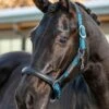 LeMieux Capella Headcollar - Marine