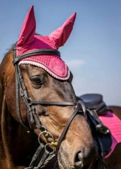 LeMieux Classic Fly Hood - Watermelon -Horse Rider Shop lemieux fly hood watermelon 3rdy