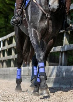 LeMieux Grafter Brushing Boots - Bluebell -Horse Rider Shop lemieux grafter boot bluebell 7rdy