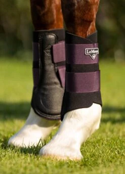 LeMieux Grafter Brushing Boots - Fig -Horse Rider Shop lemieux grafter boot fig 5rdy