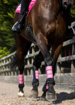 LeMieux Grafter Brushing Boots - Watermelon 9 LeMieux Grafter Brushing Boots - Watermelon -Horse Rider Shop lemieux grafter boot watermelon 5rdy