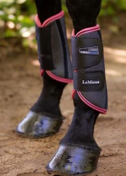 LeMieux Carbon Mesh Wrap Boots - Black/Papaya -Horse Rider Shop lemiex carbon mesh boot papaya 4rdy